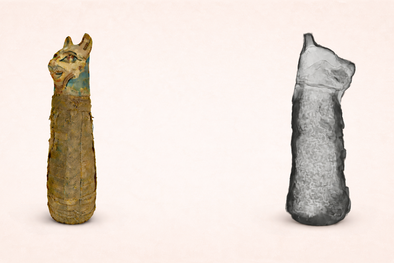 Ancient Egyptian cat mummy beside X-ray revealing skeletal remains inside votive animal mummy