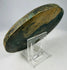 Chinese cast bronze mirror with concentric floral border patterns
