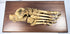 Historic human foot anatomy specimen mounted on hardwood base for 19th century medical education and study