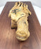 Close-up of antique human foot skeleton showing natural bone coloration, articulation hardware and anatomical detail