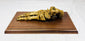 Close-up of human foot bones showing articulation and wiring, 19th century