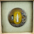 Signed Eizui Japanese sword guard displayed in fitted wooden collector’s box with textile-covered cushion