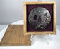 Japanese iron tsuba displayed upright in its fitted collector’s box with the wooden lid positioned beside it