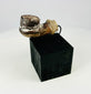 Islamic world pottery fragment with projecting stem, Ottoman era, mounted for display