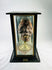 Rare 19th-century mummified head known as ‘TIC’, featuring clay construction, genuine human teeth, mounted on brass stand, displayed in custom wood and glass case