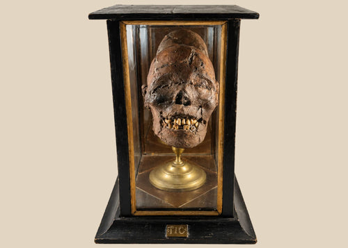 Rare 19th-century mummified head known as “TIC,” featuring clay construction and genuine human teeth, mounted on a brass stand within a custom glass and wood display case. Historic circus sideshow artifact from a private collection, symbolizing early 20th-century curiosity exhibitions.