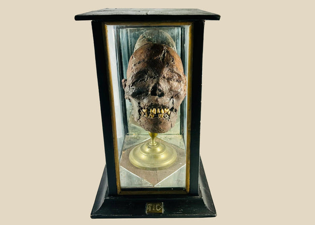 Rare 19th-century mummified head known as “TIC,” featuring clay construction and genuine human teeth, mounted on a brass stand within a custom glass and wood display case. Historic circus sideshow artifact from a private collection, symbolizing early 20th-century curiosity exhibitions.