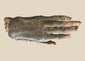 Rare ancient Egyptian mummified hand, Late Period to Ptolemaic Period, showing preserved skin, fingernails, and fibrous remnants, displayed in custom museum-quality case