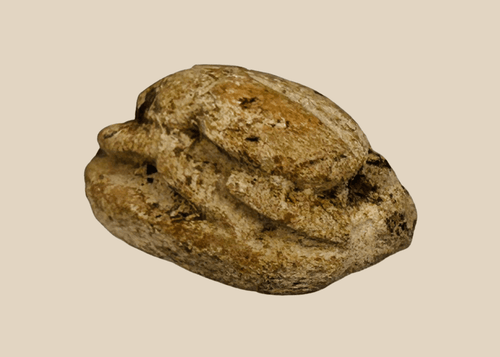 Ancient Egyptian carved steatite scarab amulet with engraved underside, warm desert patina, circa New Kingdom to Late Period 1500–600 BC