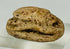 Detailed image of Egyptian scarab artifact showing mineral inclusions and ancient erosion