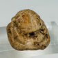 Authentic Egyptian steatite scarab amulet with clearly defined carved details and aging