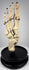 Historic human skeletal foot teaching specimen displaying articulated phalanges, metatarsals and tarsal bones
