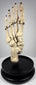 Historic human skeletal foot teaching specimen displaying articulated phalanges, metatarsals and tarsal bones