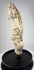 Museum-quality human skeletal foot specimen from London mounted for anatomical study and educational display