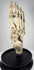 Early 20th century British osteological specimen featuring a complete articulated human foot and ankle skeleton