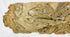 Ayutthaya period 17th-century Thai wood fragment with decorative motifs
