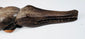 Carved wooden crocodile with articulated jaw and surviving inserted tooth pegs