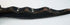 Detailed Bamana-Bozo attributed crocodile carving with crosshatched geometric motifs