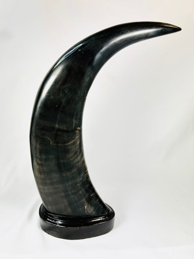 Mid-20th-century East Asian decorative horn sculptures with dragons, tigers, clouds, and black lacquered mounts