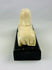 Decorative sphinx inspired by ancient Egypt, popular during early 20th century revival period