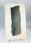 Chinese inscribed ceramic fragment displayed on stand highlighting texture, patina, and incised characters