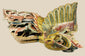 Mid-19th century Chinese carved camphor wood phoenix, detailed plumage with traces of polychrome paint and gilding, symbolizing immortality and prosperity.