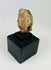 Ancient Greek or Roman-style head fragment, terracotta or stone, warm patina, mounted artifact