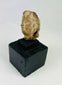 Ancient Greek or Roman-style head fragment, terracotta or stone, warm patina, mounted artifact