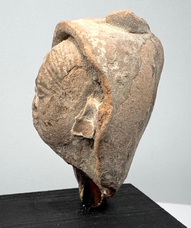 Greek or Roman terracotta head fragment from classical antiquity with stylized facial features and centuries-old surface wear.