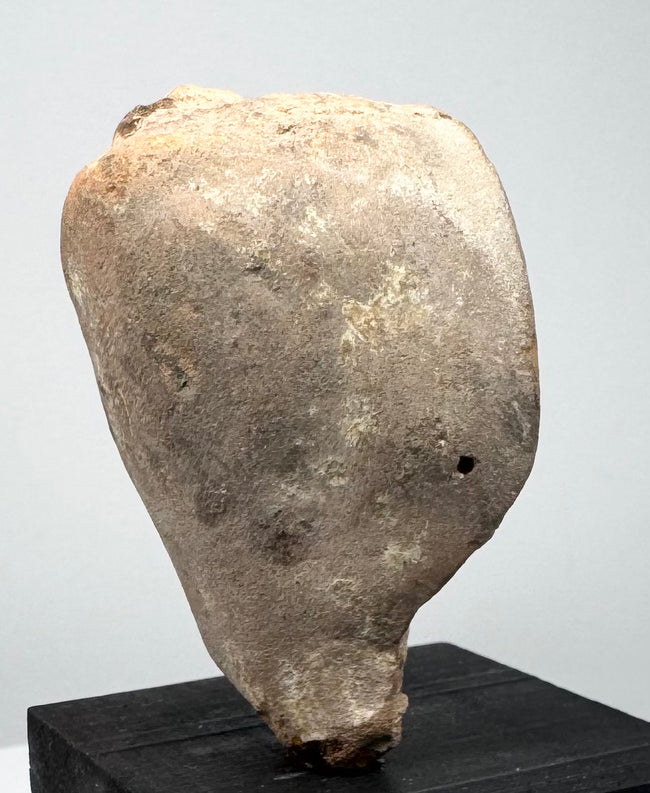 Ancient terracotta head fragment displaying delicate facial modeling and characteristic artistic traditions of the Greek and Roman world.