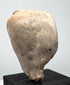 Ancient terracotta head fragment displaying delicate facial modeling and characteristic artistic traditions of the Greek and Roman world.