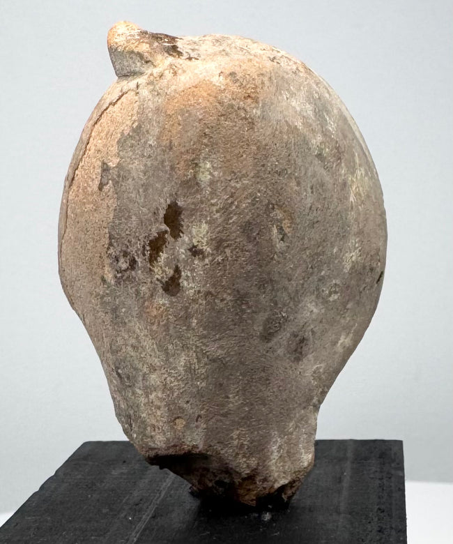 Classical Greek or Roman terracotta sculpture fragment with preserved face, prominent headdress, and natural archaeological patina.