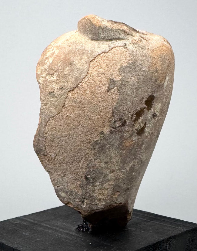 Antique terracotta figure head from the ancient Mediterranean world, possibly representing a deity, noble figure, or ritual subject.