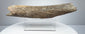 Fossilized bone fragment with mottled brown, grey and cream tones.