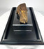 Unique Egyptian funerary relic preserved fragment 700–200 BCE