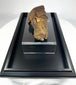 Unique Egyptian funerary relic preserved fragment 700–200 BCE