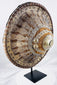 Ethiopian court shield with spearhead-shaped mounts and interlacing engraved patterns