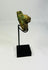 Ancient Egyptian Maahes stone amulet, 1070–664 BCE, compact personal charm with preserved carving and smooth surface
