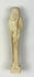 Rear view of a Late Period limestone ushabti against a neutral background