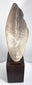 Detailed side view of the pharaoh’s face, ear, crown, and sculpted contours