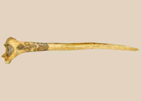 19th-century New Guinea Highlands “husband-killing” ritual dagger carved from human humerus, decorated with natural pigments and cassowary feathers, ethnographic artifact