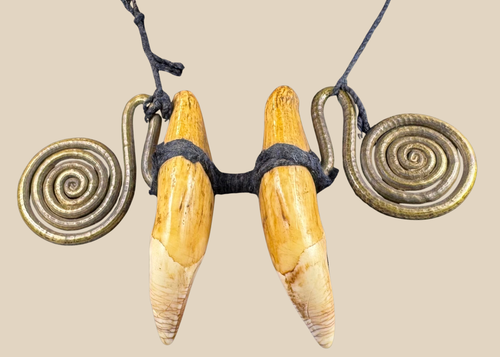 Antique Naga warrior status ornament with animal canine teeth and brass spirals