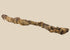 Ancient Egyptian juvenile crocodile mummy with aged linen wrappings, circa 664 BC–100 AD