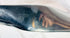 Rare vintage Flottorp airplane propeller black lacquer aluminum edge