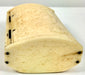 Historic French POW snuff box featuring an original iron-pin hinge and hand-carved bovine bone construction.