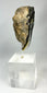 Early Buddhist Gandhara stone Buddha head fragment from Silk Road region, 3rd–5th century CE