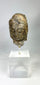 Ancient Gandhara Buddhist sculpture fragment depicting Buddha head, Greco-Roman style, carved stone