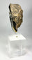 Antique Gandharan stone Buddha head with soft smile and refined facial contours, early Buddhist devotional sculpture