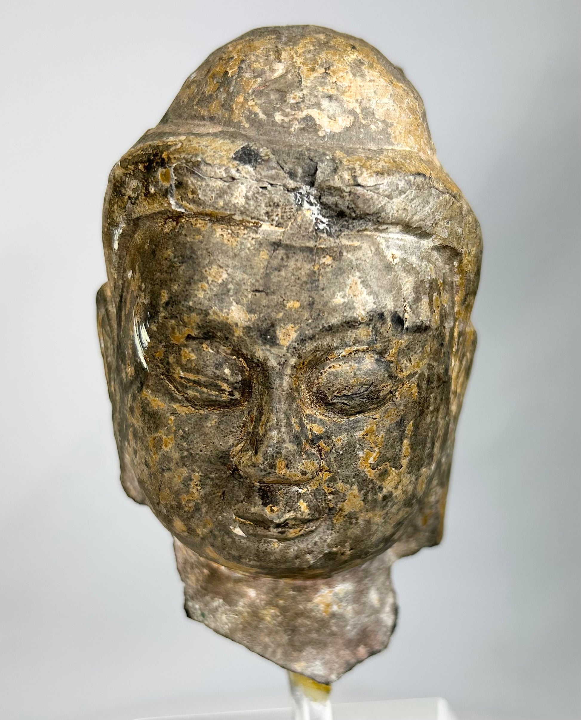 Gandharan period carved stone Buddha head fragment, 3rd–5th century CE, serene expression with half-closed eyes, Greco-Roman facial features, delicately carved hair, natural patina, mounted on a clear acrylic display stand.