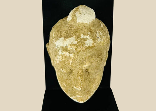 3rd–4th century CE Gandharan Buddha head carved in schist with serene expression, closed eyes, finely arched brows, and ushnisha, reflecting Greco-Buddhist Hellenistic realism and Indian spiritual iconography, mounted on modern display stand.